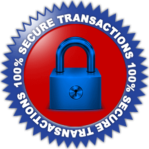 secure online transaction