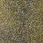 Gloria Petyarre Aboriginal Artist