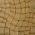 Thomas Tjapaltjarri Aboriginal Art