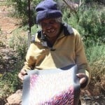 Gloria Petyarre Aboriginal Artist
