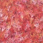 Emily Pwerle Aboriginal Art