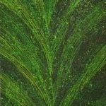 Sarrita King Aboriginal Art