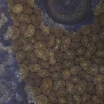 Sarrita King Aboriginal Art