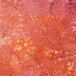 Polly Ngale Aboriginal Art