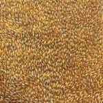 Gloria Petyarre Aboriginal Art