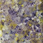 Polly Ngale Aboriginal Art