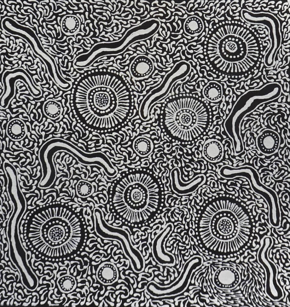 Delvine Petyarre Aboriginal Art