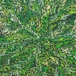 Louise Numina Aboriginal Art