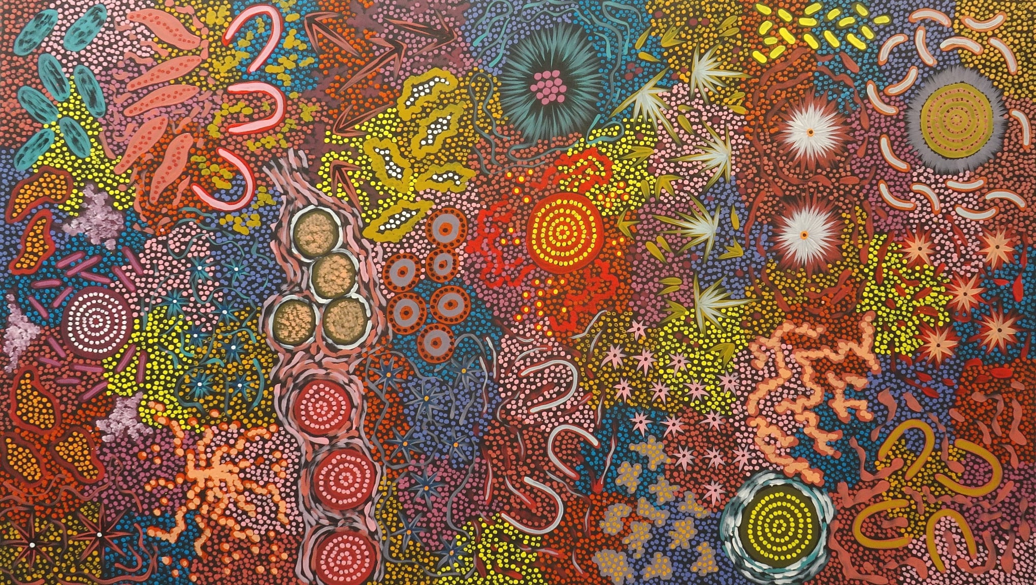 Aziza Possum Aboriginal Art