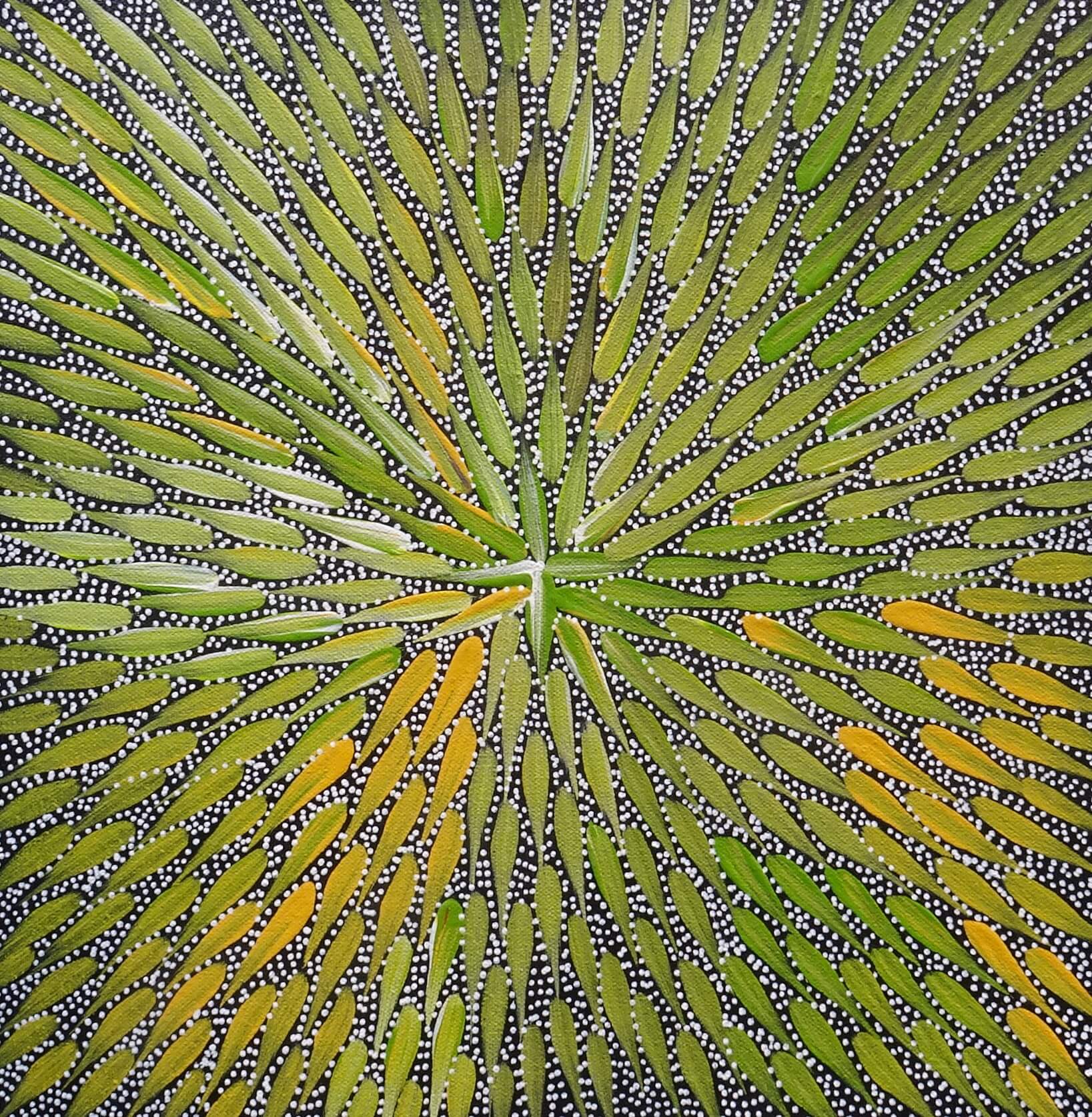 Bernadine Johnson Kemarre Aboriginal Art