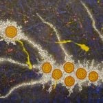 Khatija Possum Aboriginal Art