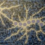 Gabriella Possum Nungurrayi Aboriginal Art