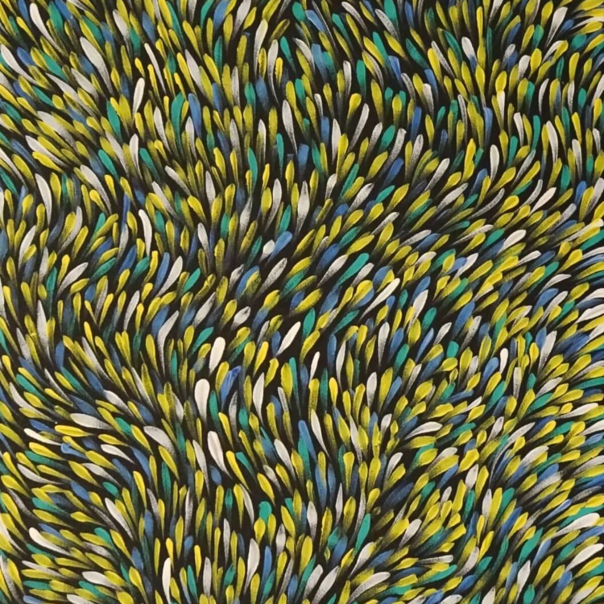 アボリジナルアート/Bush Medicine Gloria Petyarre作 アボリジニ