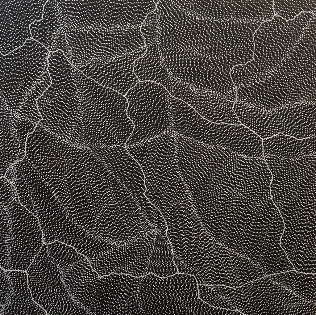 Sarrita King Aboriginal Art