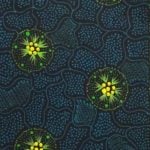 Tanya Nangala Price Aboriginal Art