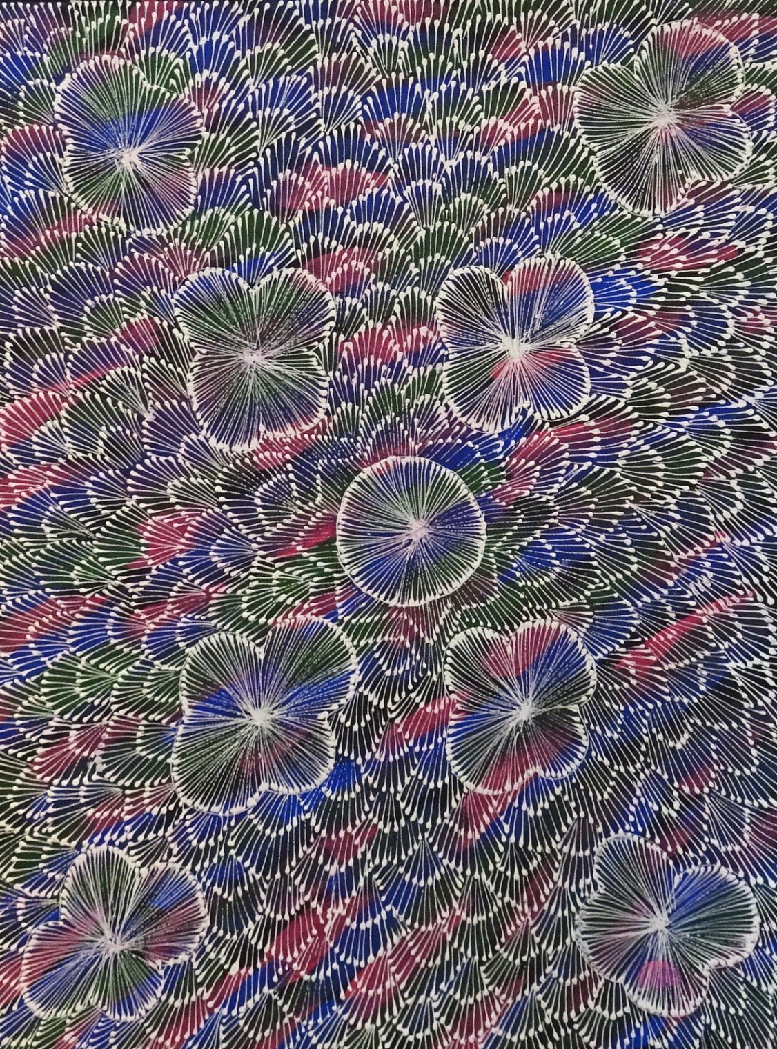 Nicole Jones Kngwarreye Aboriginal Art