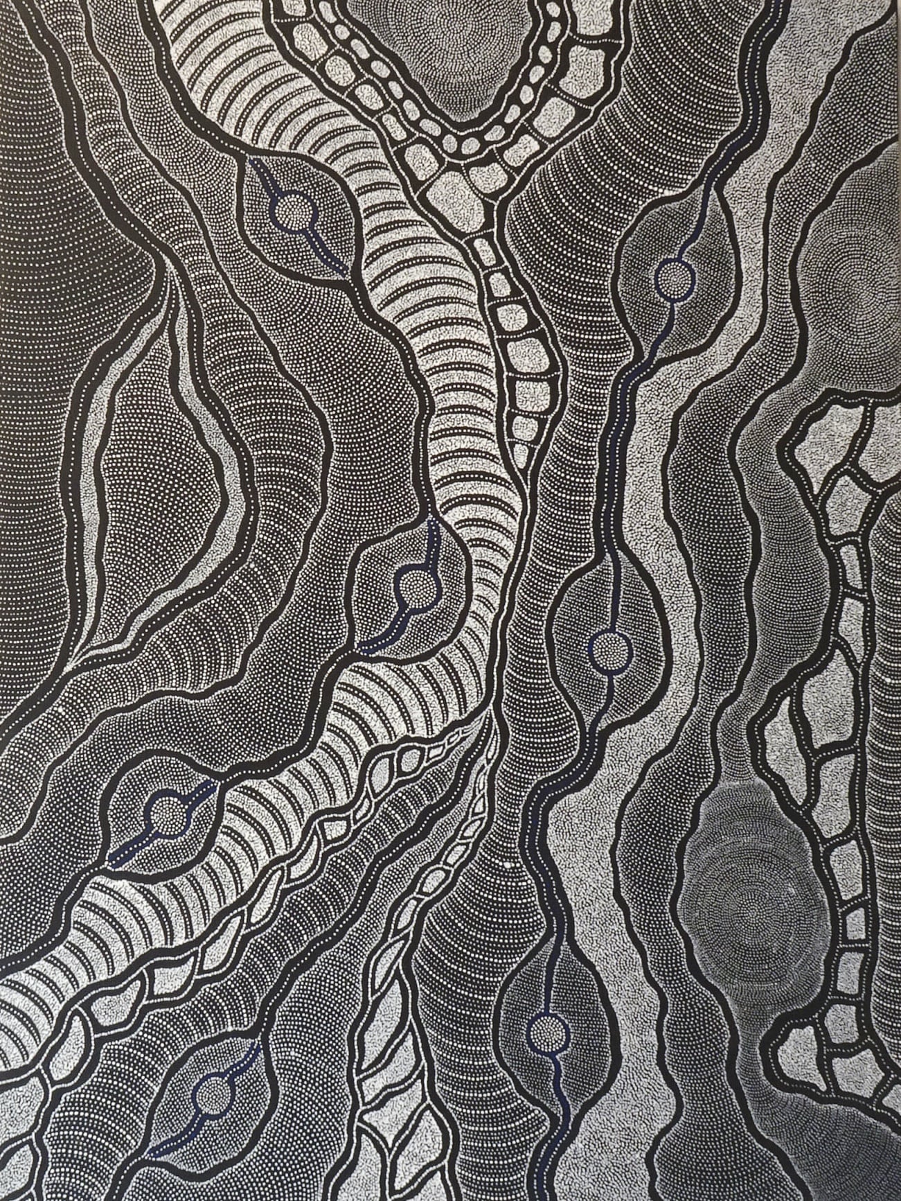 Delvine Petyarre Aboriginal Art