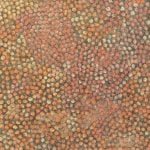 Eileen Bird Nungarai Aboriginal Art