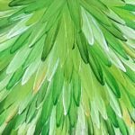 Raymond Walters Japanangka Aboriginal Art