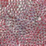 Eileen Bird Nungarai Aboriginal Art
