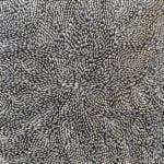 Roseanne Morton Petyarre Aboriginal Art