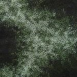 Tarisse King Aboriginal Art