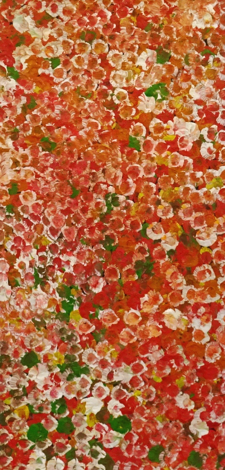 Belinda Golder Kngwarreye Aboriginal Art