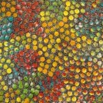 Eileen Bird Nungarai Aboriginal Art
