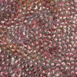 Eileen Bird Nungarai Aboriginal Art