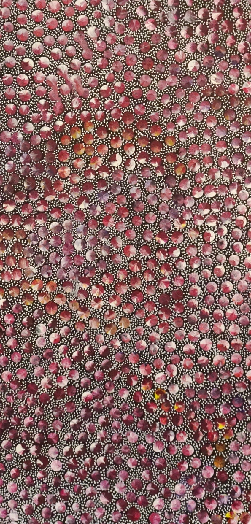 Eileen Bird Nungarai Aboriginal Art