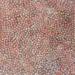Eileen Bird Nungarai Aboriginal Art