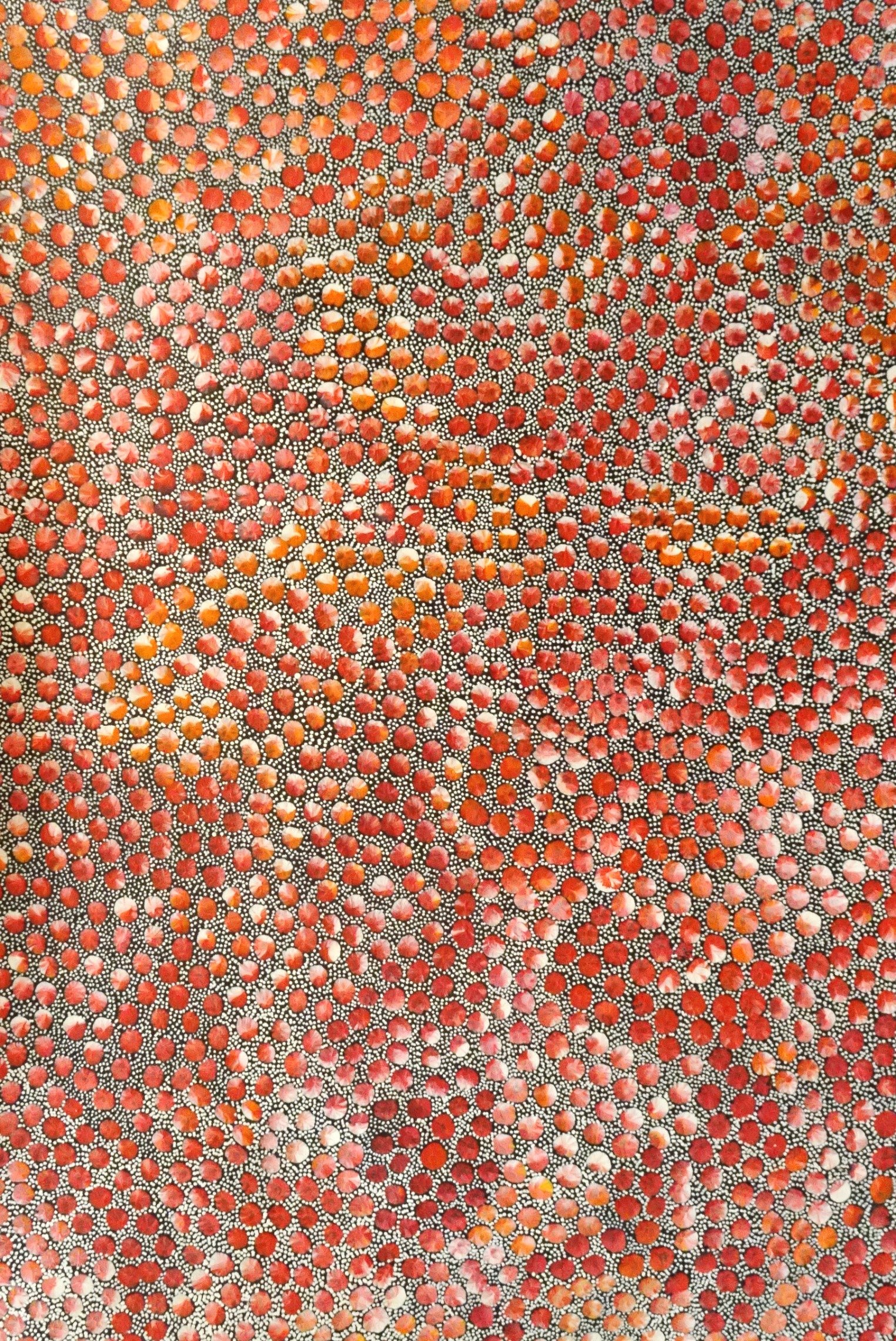 Eileen Bird Nungarai Aboriginal Art