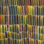 Jeannie Mills Pwerle Aboriginal Art