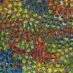 Eileen Bird Nungarai Aboriginal Art