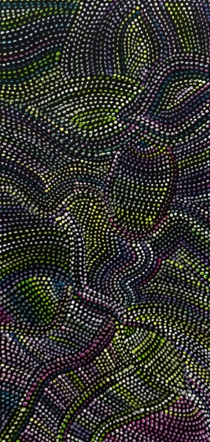 Joy Petyarre Aboriginal Art