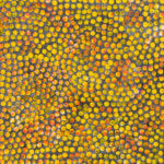 Aboriginal Art Eileen Bird Nungarai