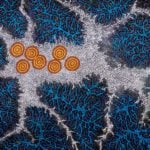 Khatija Possum Aboriginal Art