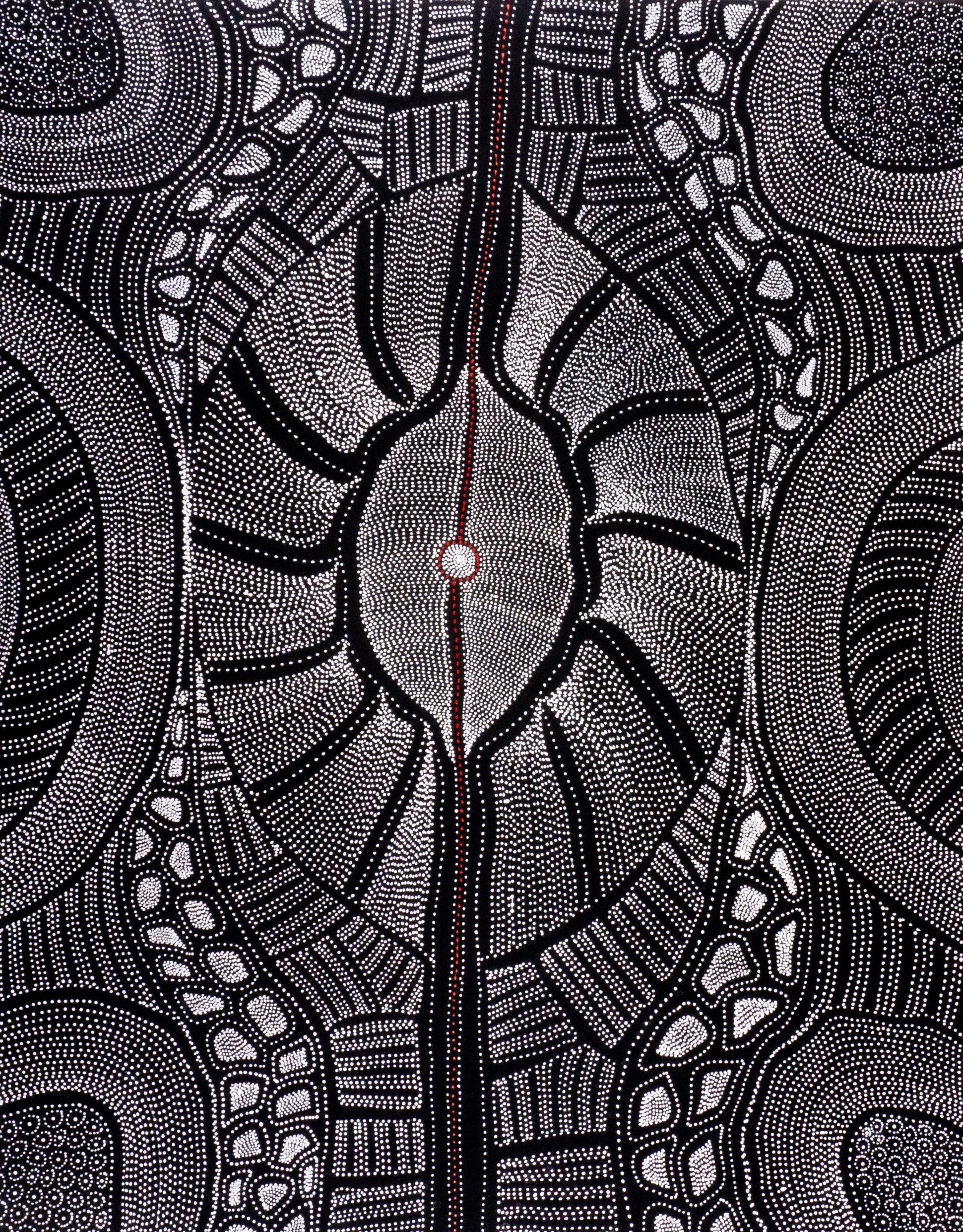 Anna Price Petyarre Aboriginal Art