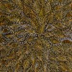 Roseanne Morton Petyarre Aboriginal Art