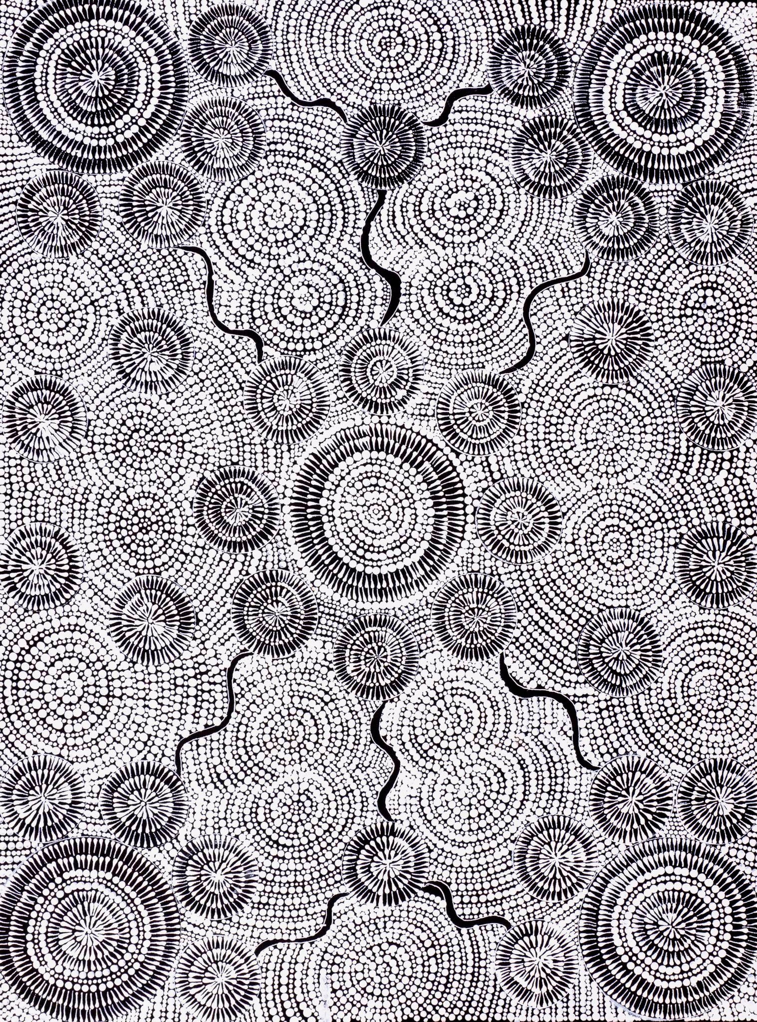 Doreen Nolan Nangala Aboriginal Art