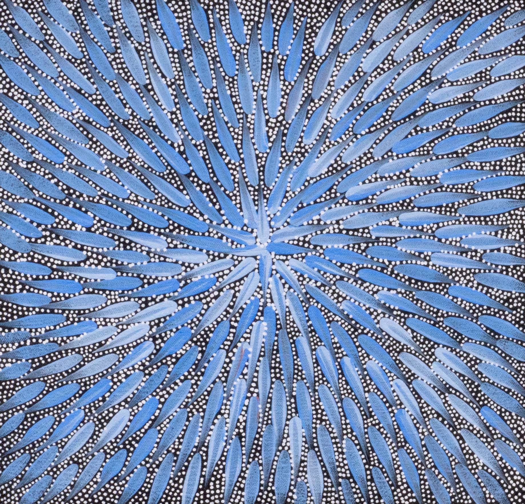 Bernadine Johnson Kemarre Aboriginal Art