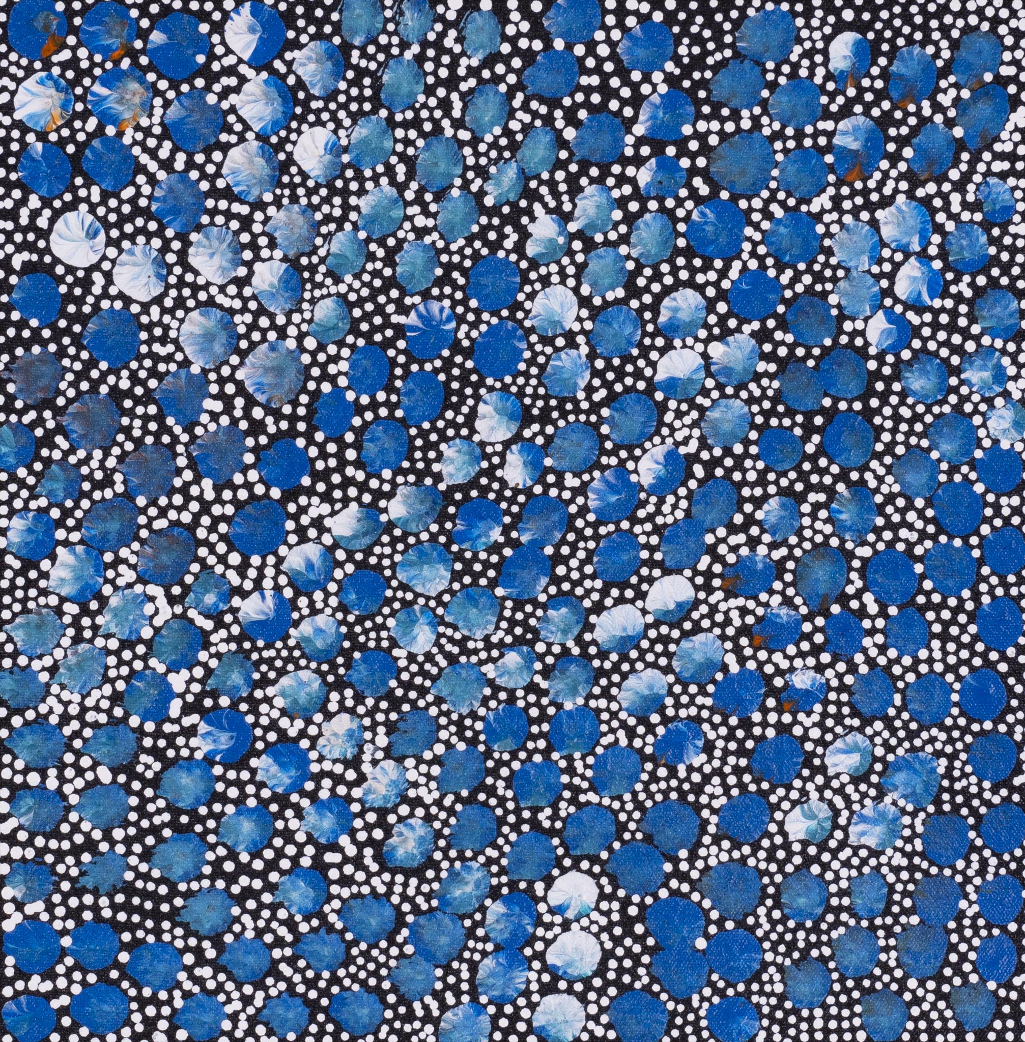 Eileen Bird Nungarai Aboriginal Art