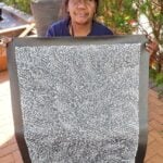 Roseanne Morton Petyarre Aboriginal Art