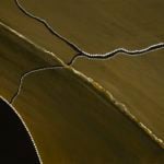 Mark Nodea Aboriginal Art
