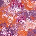 Belinda Golder Kngwarreye Aboriginal Art