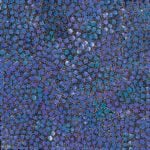 Eileen Bird Nungarai Aboriginal Art