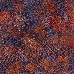 Eileen Bird Nungarai Aboriginal Art