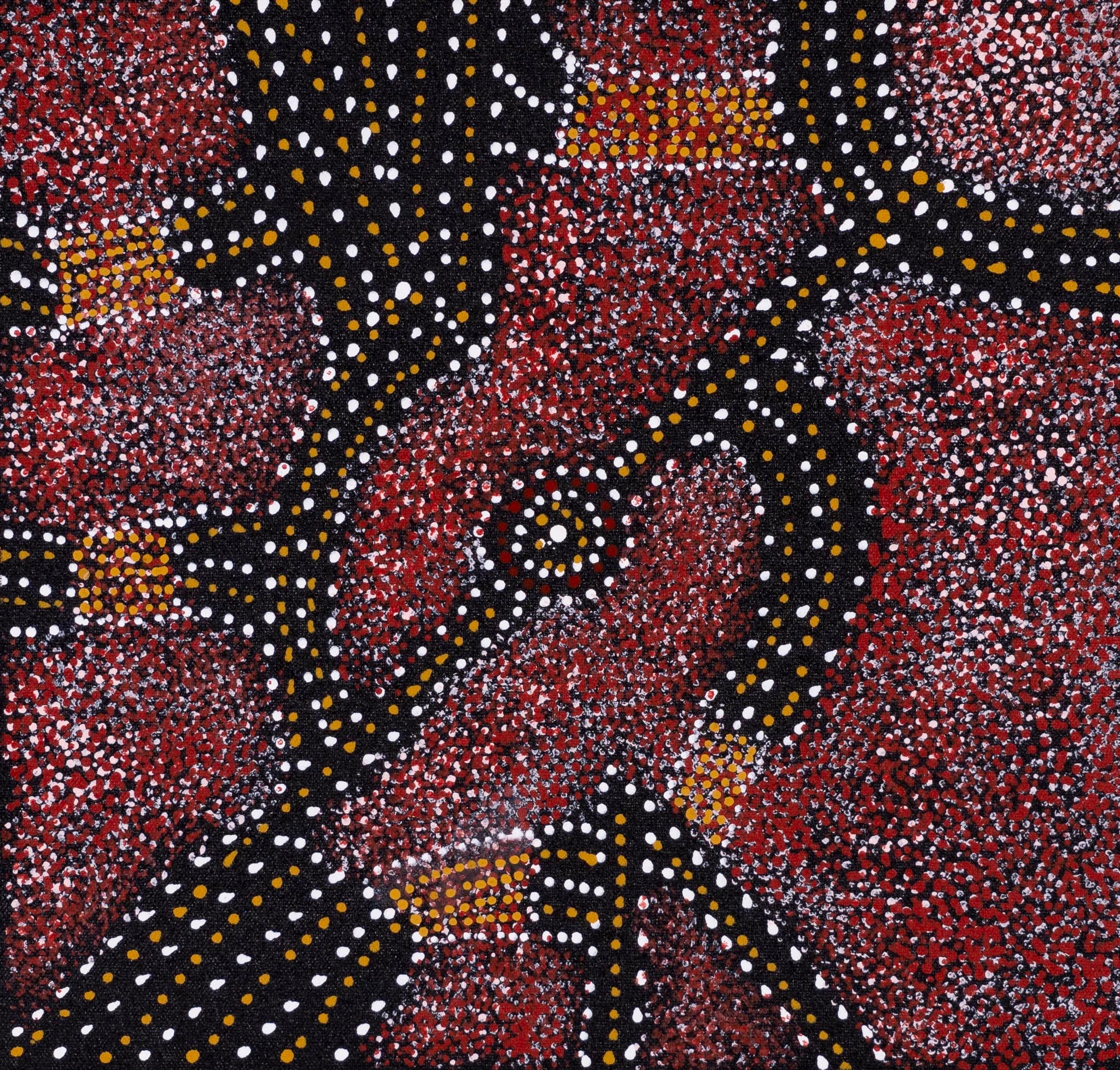 Gracie Morton Pwerle Aboriginal Art
