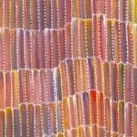 Jeannie Mills Pwerle Aboriginal Art