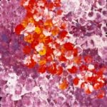 Belinda Golder Kngwarreye Aboriginal Art
